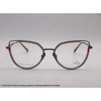Okulary korekcyjne WES WE-G 1315 C2